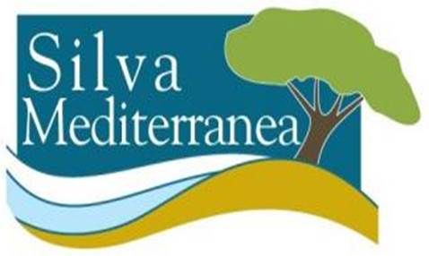 Cliente Silva Mediterranea